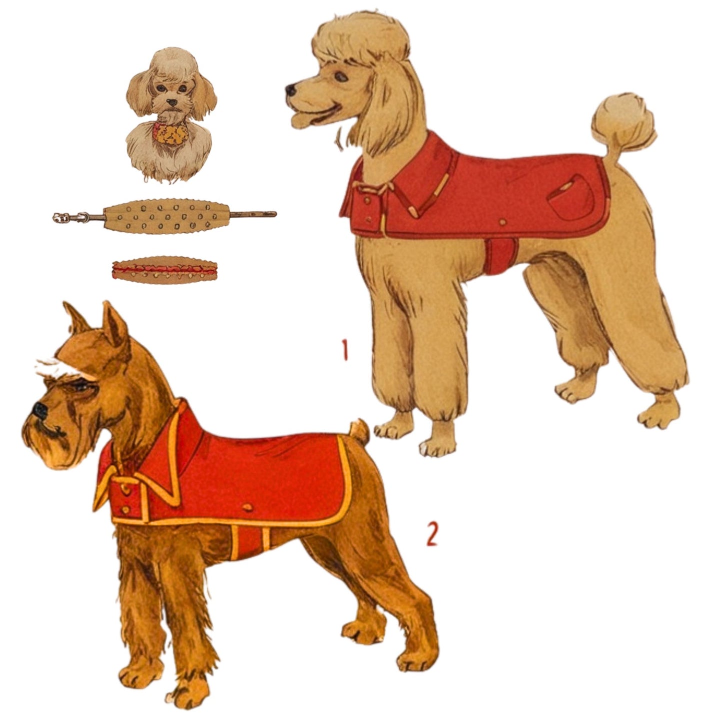 Dogs wearing collars and coats.