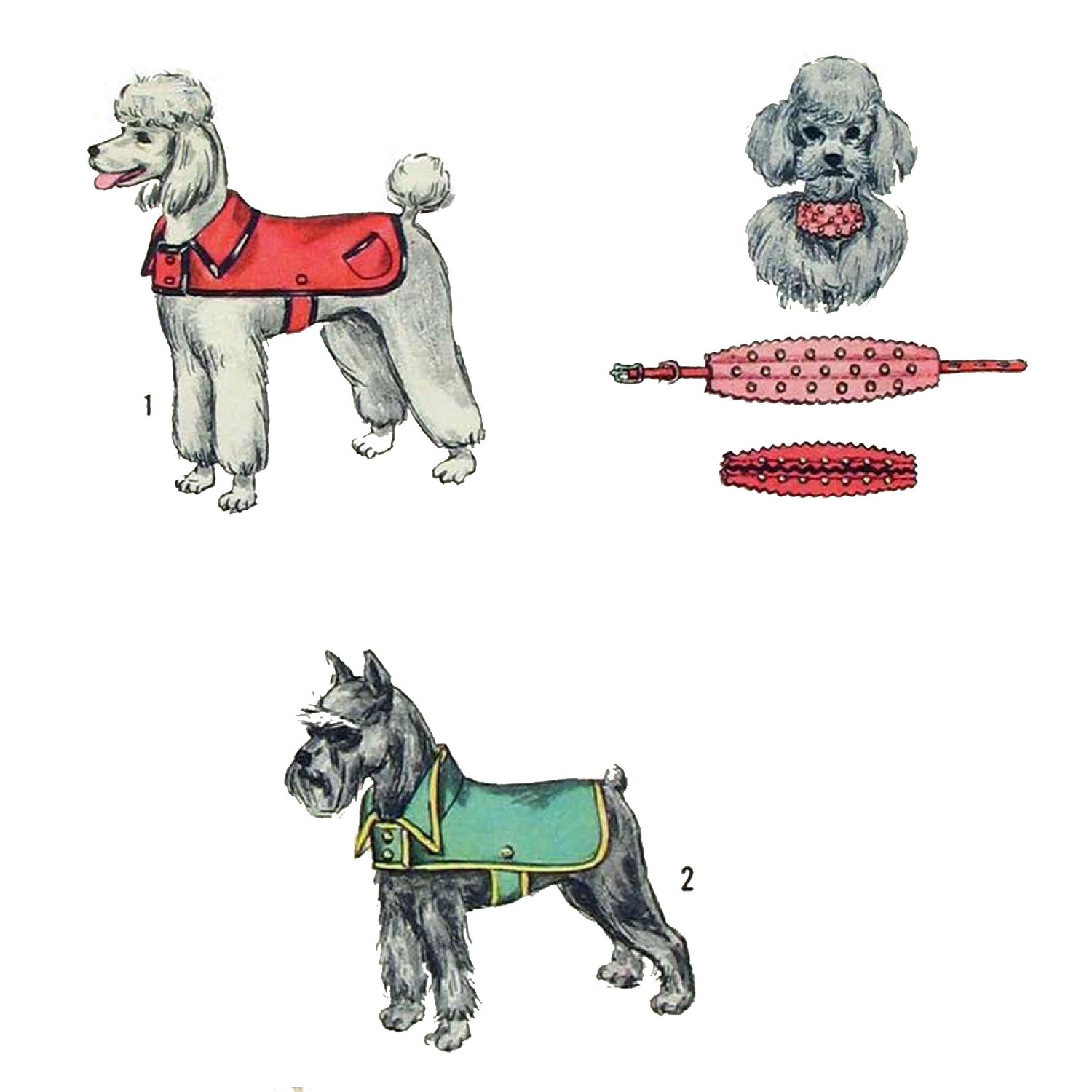 Dogs wearing collars and coats.