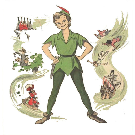 Peter Pan Costume